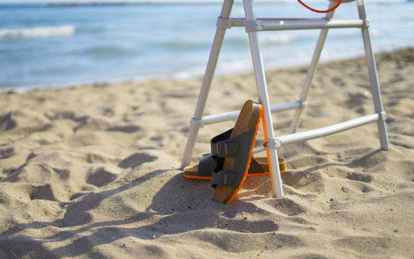 Uplifting Diffuser Blend