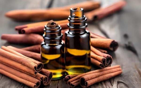 Feel the Warmth: Cinnamon Bark Essential Oil – Uses and Benefits
