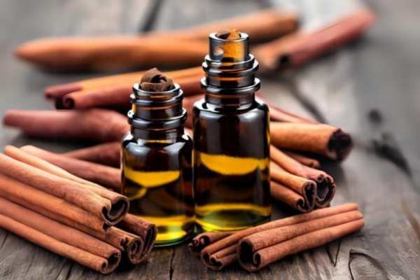 Feel the Warmth: Cinnamon Bark Essential Oil – Uses and Benefits