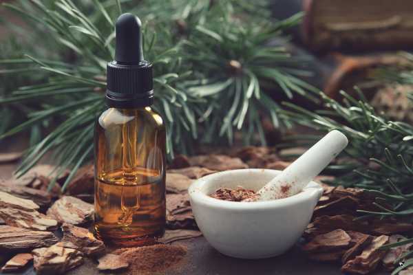 10 Surprising Uses for Cinnamon Bark Essential Oil You Didn’t Know About
