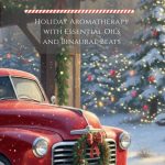 The Winter Diffuser Blueprint